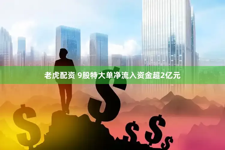 老虎配资 9股特大单净流入资金超2亿元