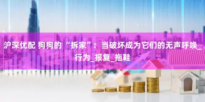 沪深优配 狗狗的 “拆家”：当破坏成为它们的无声呼唤_行为_报复_拖鞋