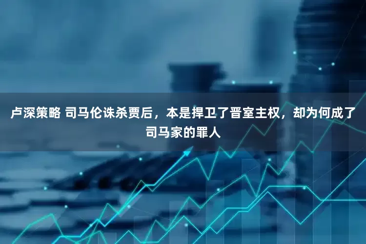 卢深策略 司马伦诛杀贾后，本是捍卫了晋室主权，却为何成了司马家的罪人