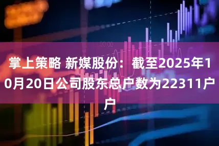掌上策略 新媒股份：截至2025年10月20日公司股东总户数为22311户